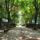 구갈로28번길 이미지