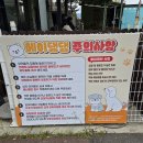 헤이, 댕댕 이미지