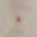 강남벨라의원 이미지