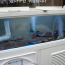 정가네 찜하는포차 이미지