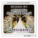 찐후기 세컨드 페이지 본식 촬영 후기🤍 본식 사진 화이트 피치톤 메인 서브 파티웨딩유 후기