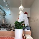 쎄려언니 이미지