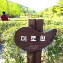 갈티 이미지