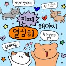 라인자동차용품점 이미지