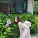 정방동 가야밀면 남쪽 | 경주 여행일기 | 경주월드, 시은재 한옥스테이, 이치니산도, 경주 국립 박물관