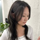 올리브뷰띠끄 네이버블로그