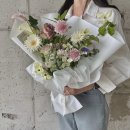 꼬모플레리 이미지