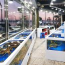 하봉석 대게·
회(환호동점) 이미지