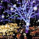 웅상신-2011 이미지