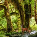 힐링뷰티피부 이미지