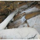 옥양수퍼 이미지