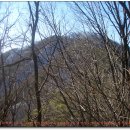 국도주유소 이미지