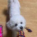 (주)몬디 이미지