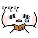 마라도물회 이미지