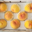 밀담푸릇화성