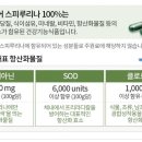 스피루리나부산