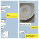 정철영어김해어학원 네이버블로그