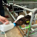 신광목장 이미지