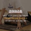테라피 요가A 이미지