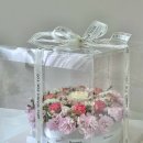 잠신병설유치원 이미지