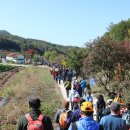 가을따라! 숲길따라 제6회 속리산둘레길 걷기 축제