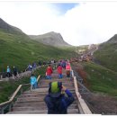 백두산농장 이미지