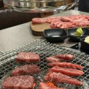 뿔난소 이미지