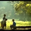 진미회관 이미지