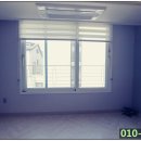 선주리들 이미지