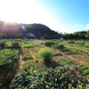 실버농장 이미지