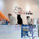 행복드림 동물병원 이미지