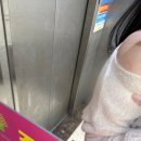 야시미구 | 길고 긴 가을이길