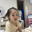 23개월) D+709~ D+715 어린이날, 어버이날, 울진연호공원