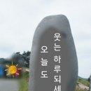 약초도감 88가지 약초의 효능 이미지