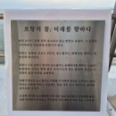 17년 만에 다시 열린 바다, 포항 송도해수욕장 재개장!
