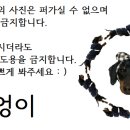 소르베유리작업실 이미지