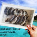 따봉코리아(주) 네이버블로그