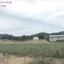 경주시강동면왕신보건진료소 이미지