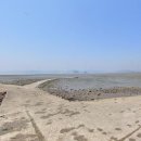 측도해변 티스토리