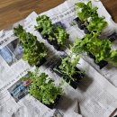 가야농약사 이미지