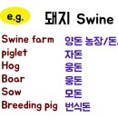 이도인력 이미지