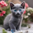 동물보육원신촌동지부