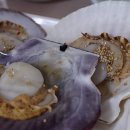 항구횟집 이미지