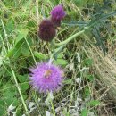 함평고등학교 이미지