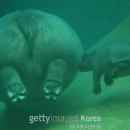 안하마을 이미지