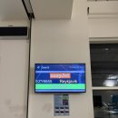 누리호스텔 | 오로라 헌팅 대성공 아이슬란드 원정대 🇮🇸