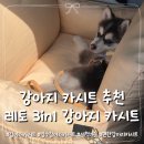 강아지야 | 레토 강아지 카시트 내돈내산 후기