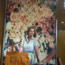 비앤비호텔 이미지