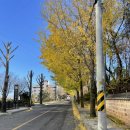 더뱀부호텔 | 울산 울주 더뱀부호텔ㅣ온천 가족탕에 테라스까지 있는 가성비 호텔 내돈내산 2번째 방문