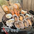 우도푸른바다민박 | 제주 우도 맛집 회양과국수군, 해물탕으로 해장한 후기